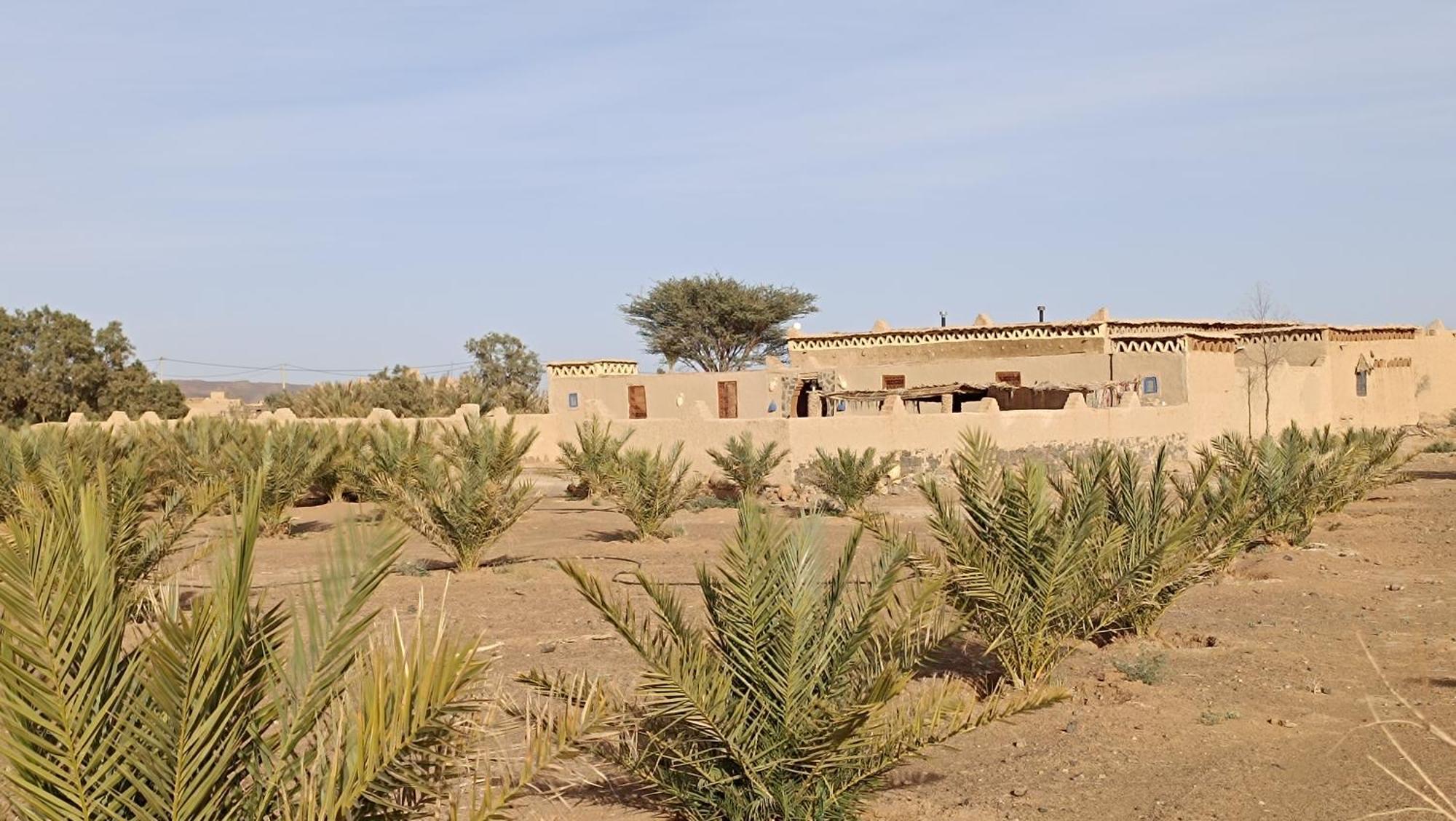 Kasbah Luna Del Sur Erfoud Exterior photo